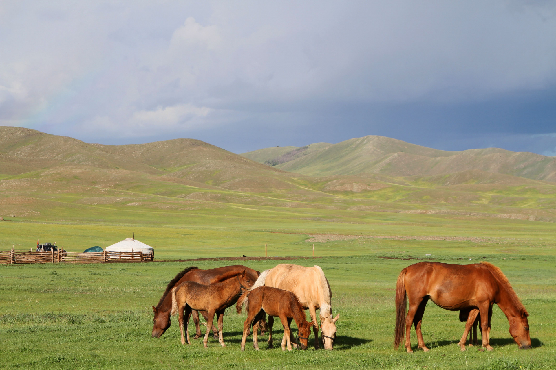 au-coeur-des-steppes-mongoles