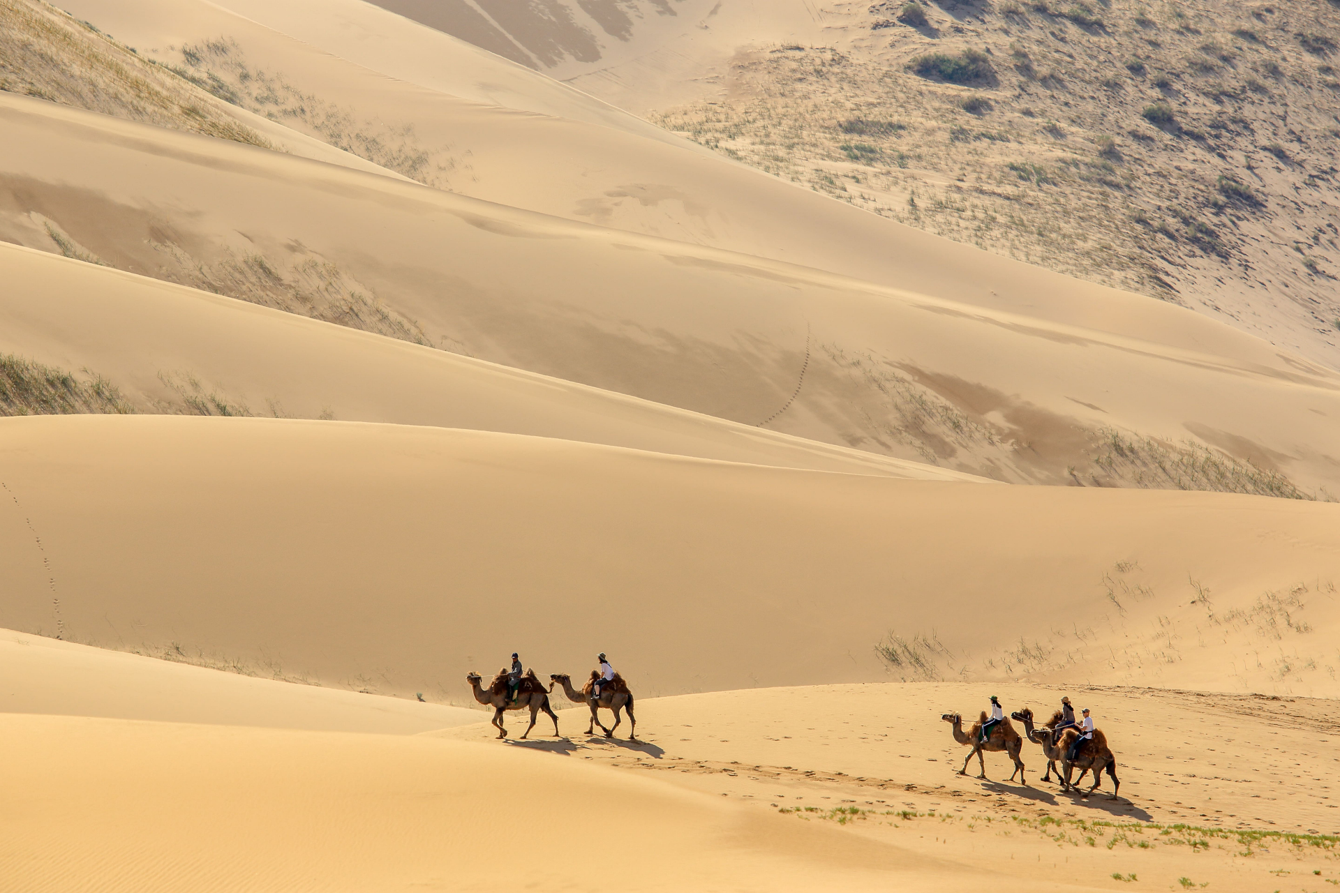 desert-de-gobi-voyage-nord-au-sud