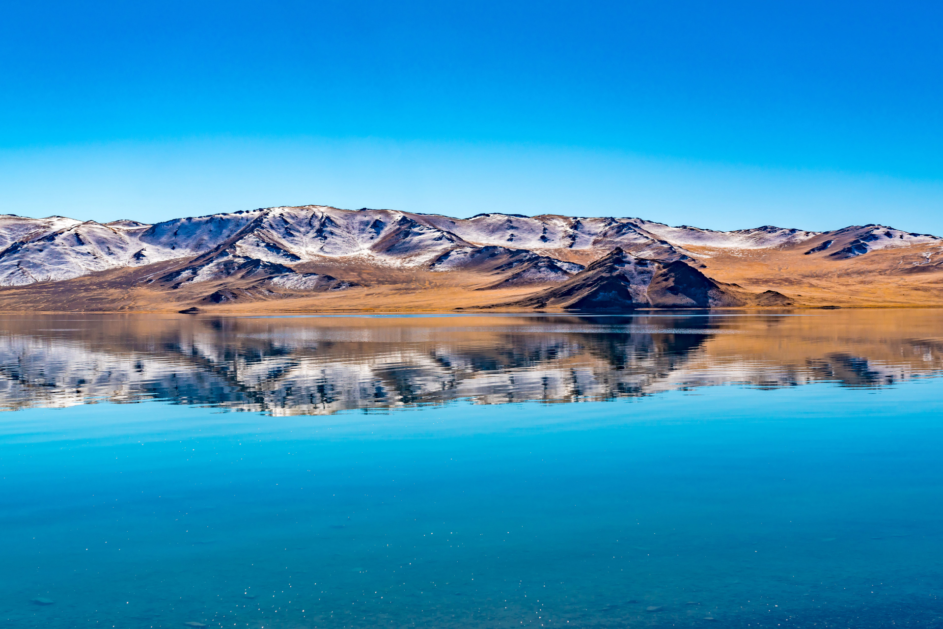 immersion-ouest-mongolie