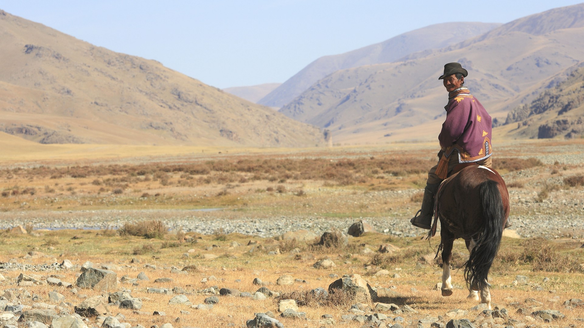 paysage-automne-et-cavalier