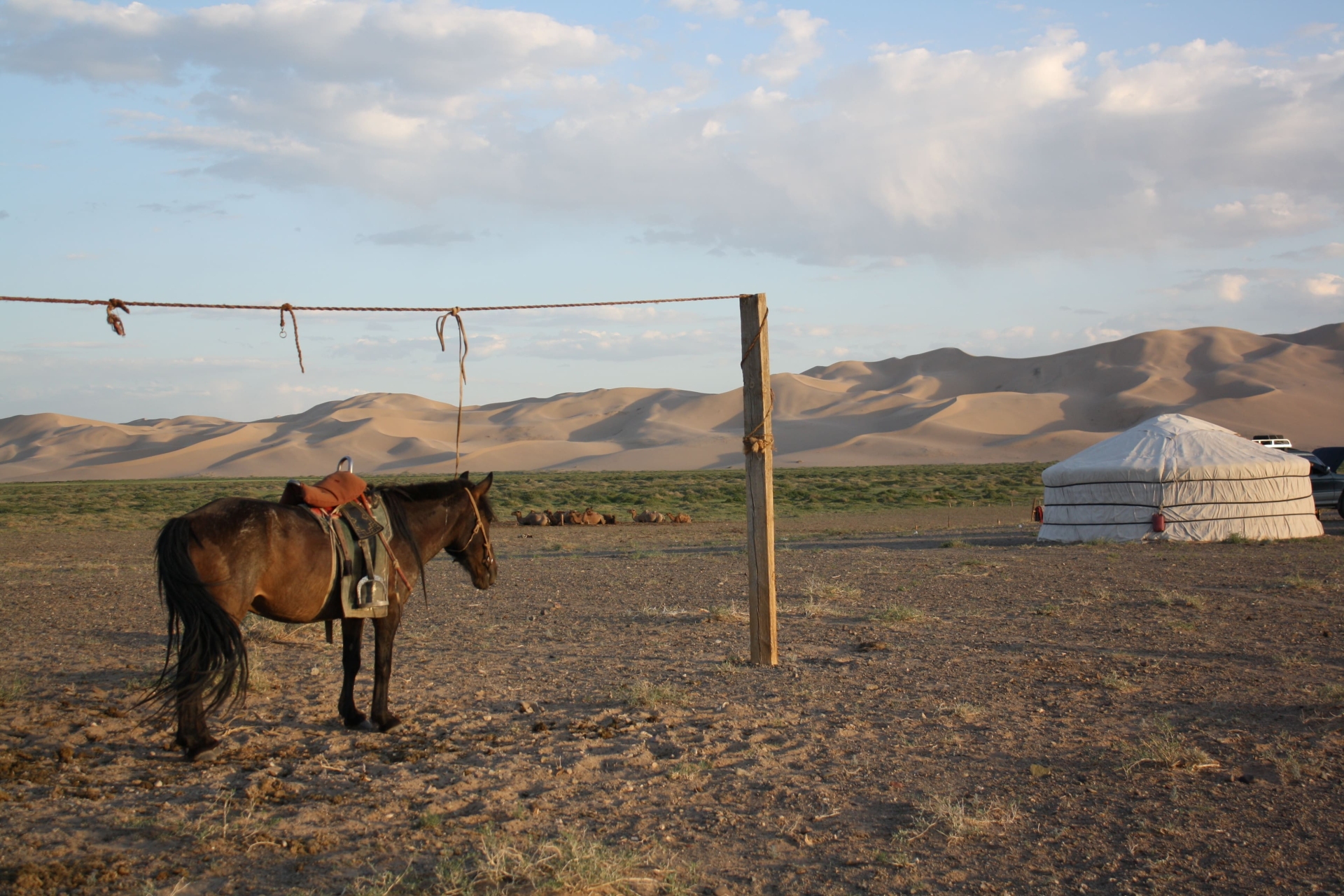 Camp nomade, Mongolie