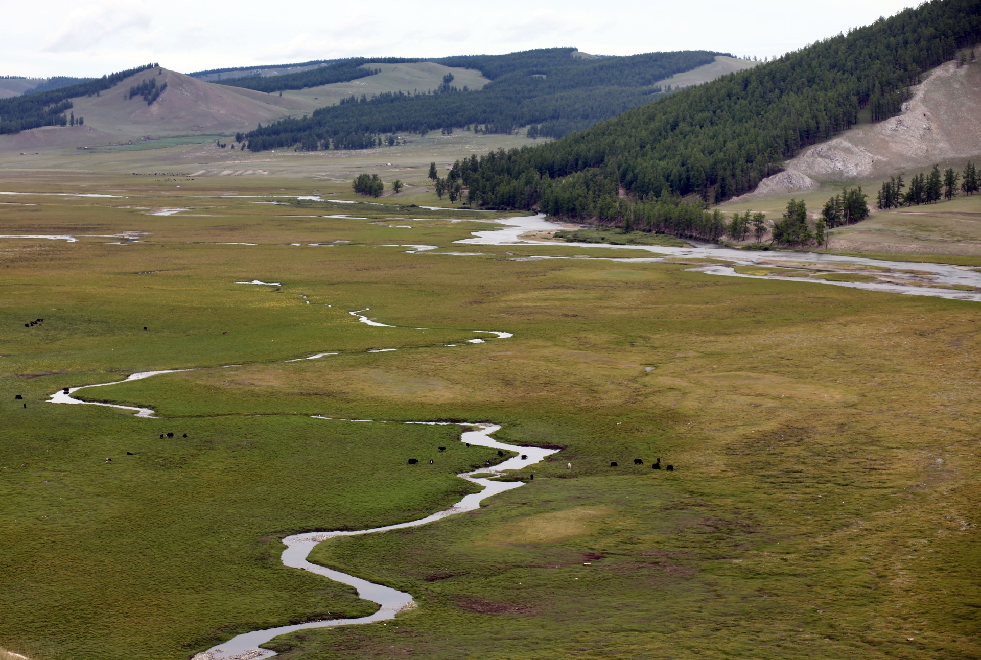 Paysages de Mongolie