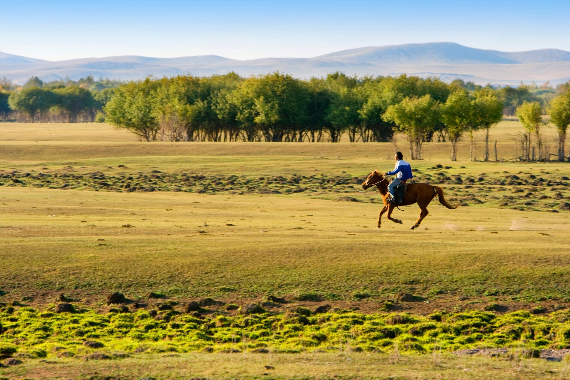 Balade à cheval dans l'Arkhangai