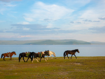 Lac de Khovsgol