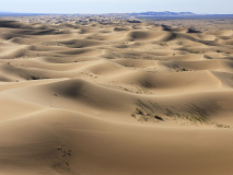 Dunes de Khongor