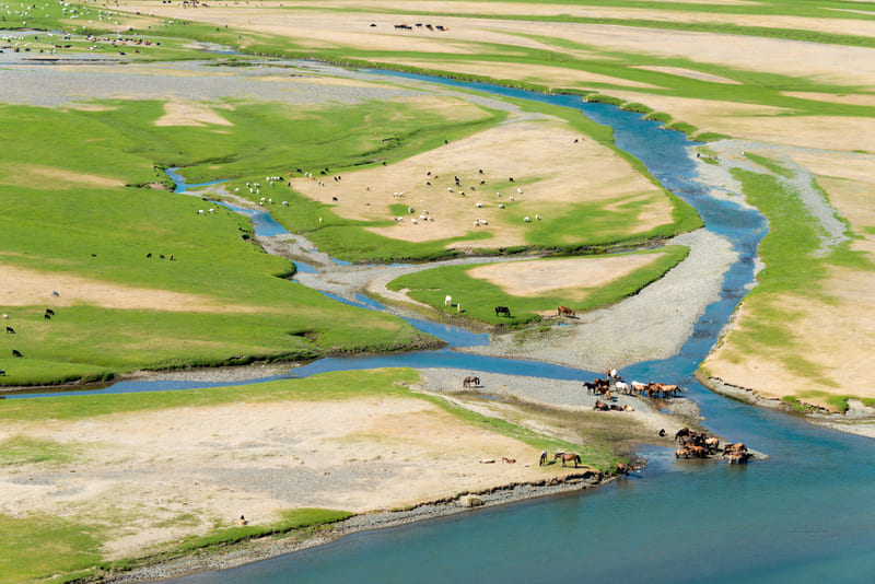 Vallée de l’Orkhon