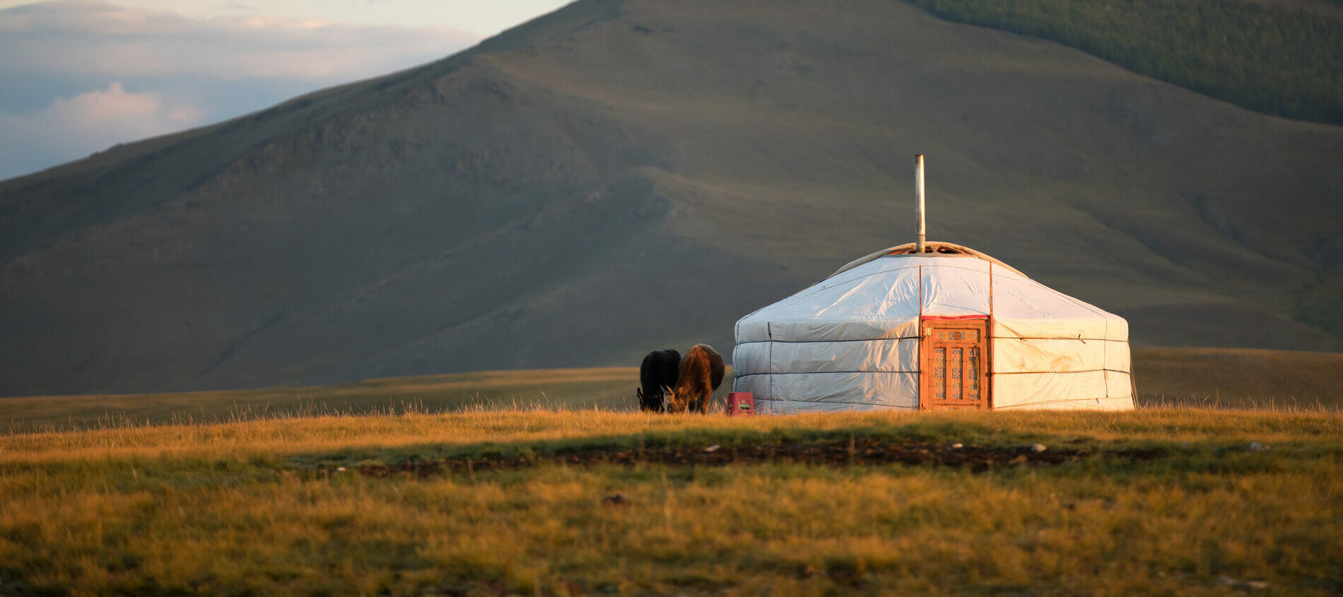 Yourte de Mongolie