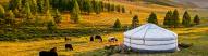 Automne yourte en Mongolie