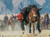 Festival des aigliers