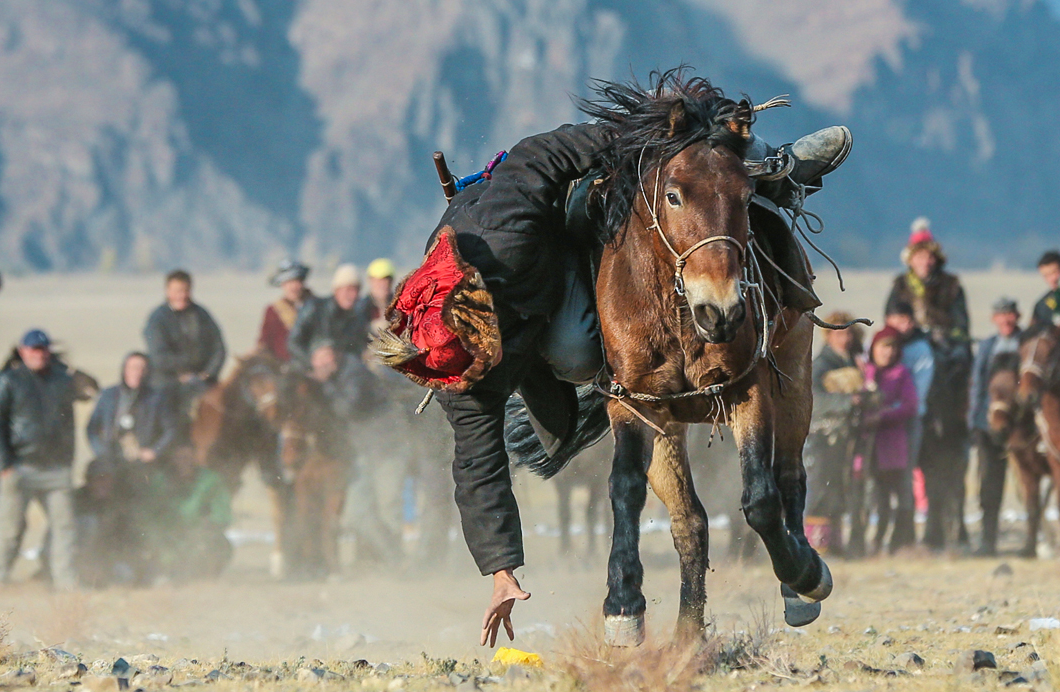 Festival des aigliers