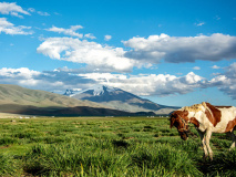Vallée de Tsambagarav