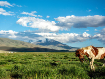 Vallée de Tsambagarav