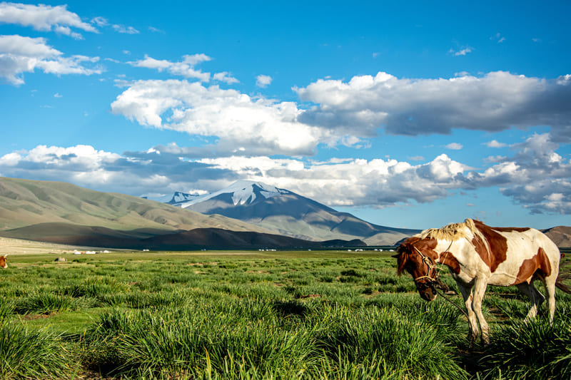 Vallée de Tsambagarav