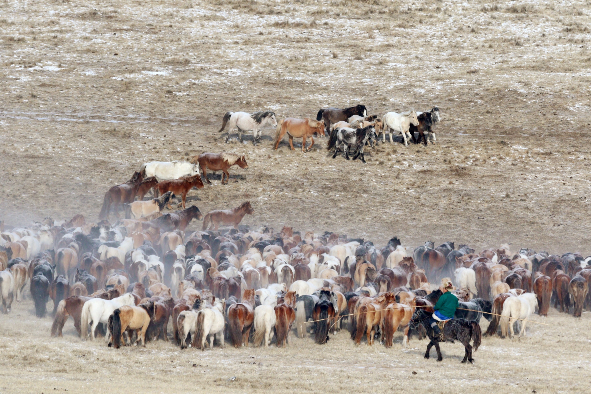 nomades-steppes-mongolie-wing-of-mongolia