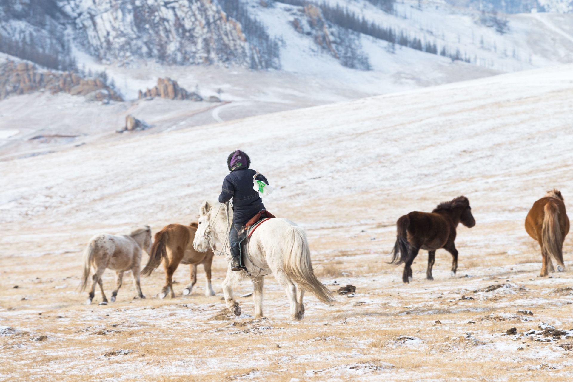 oulanbator-mongolie-adobe