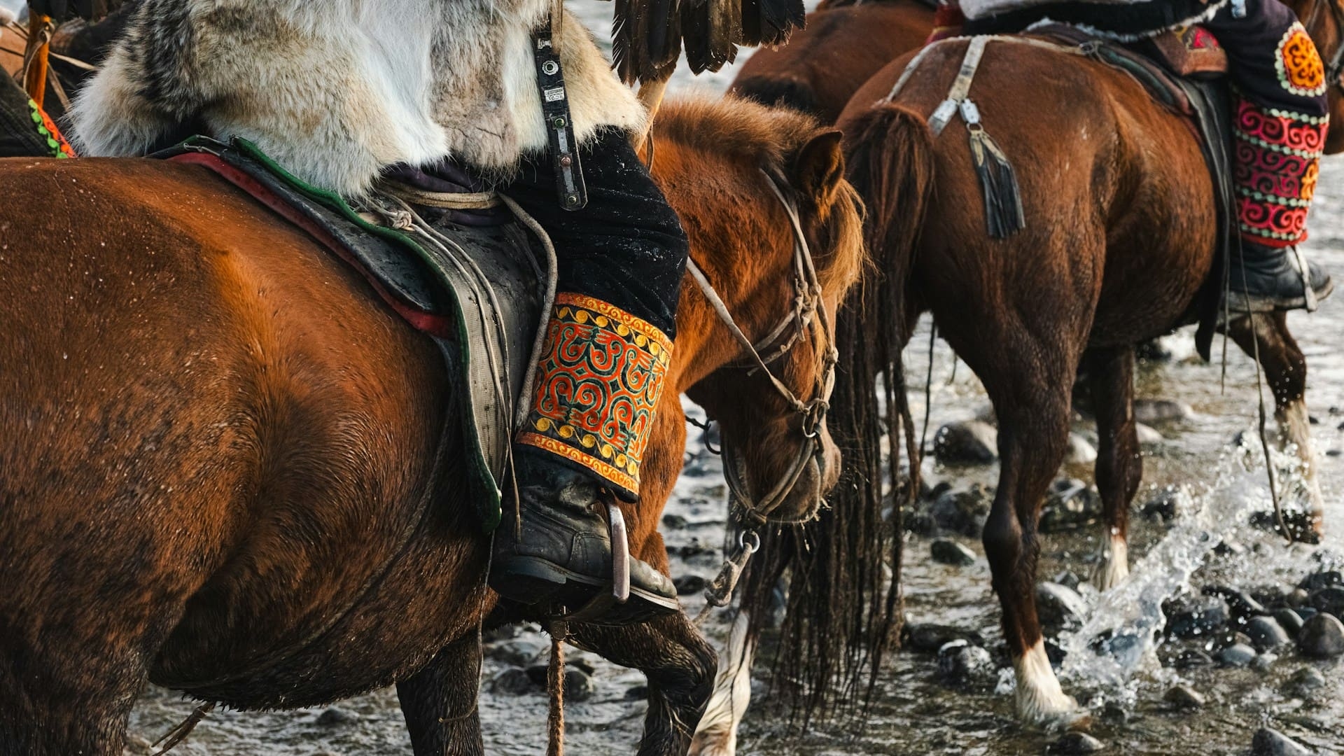 chevaux-mongolie-fadhil-abhimantra-unsplash