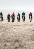 Festival des 10 000 chevaux