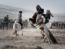 Festival des 10 000 chevaux