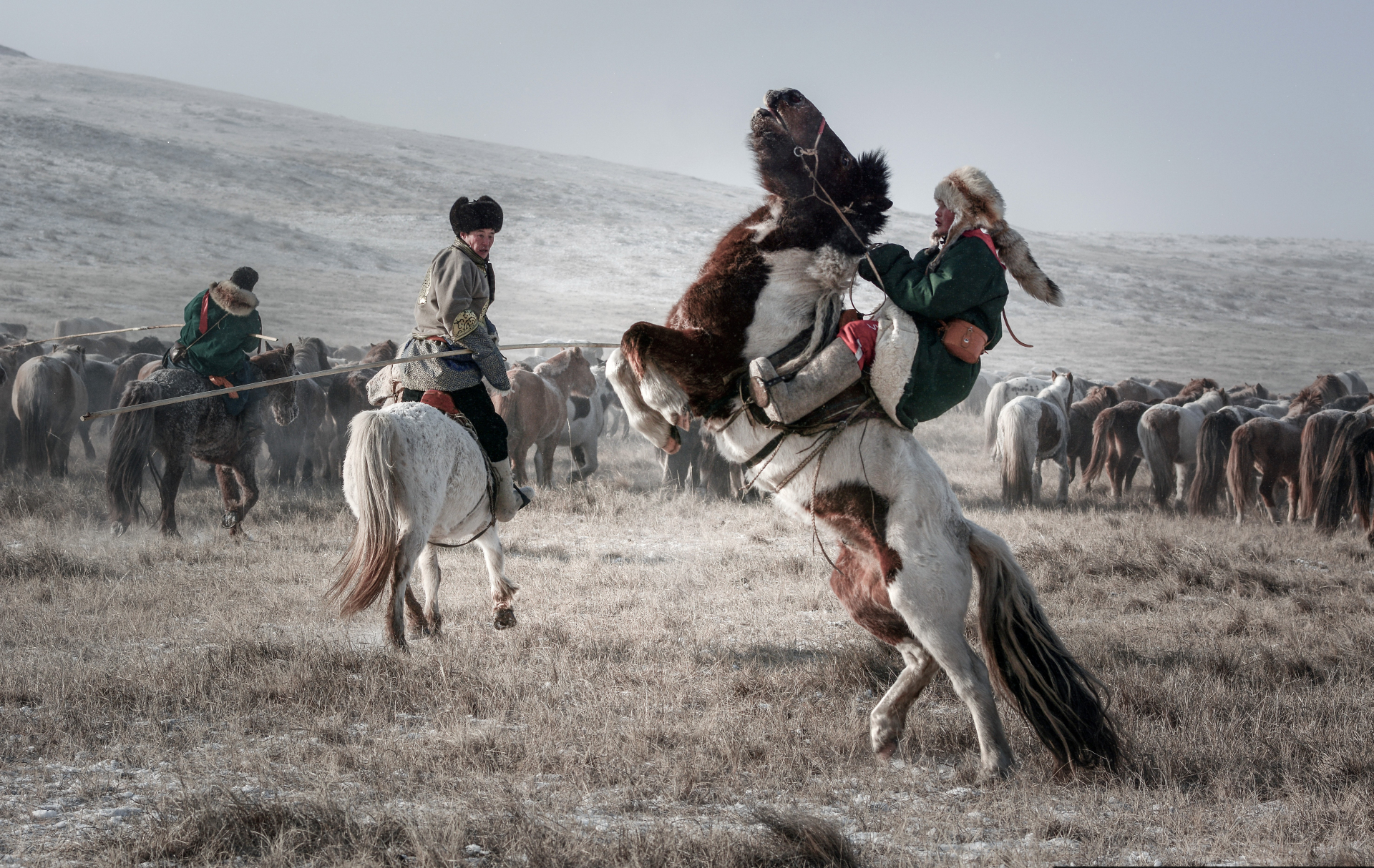 Festival des 10 000 chevaux