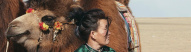 Festival 1000 chameaux Mongolie