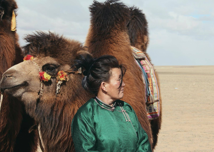 Festival 1000 chameaux Mongolie