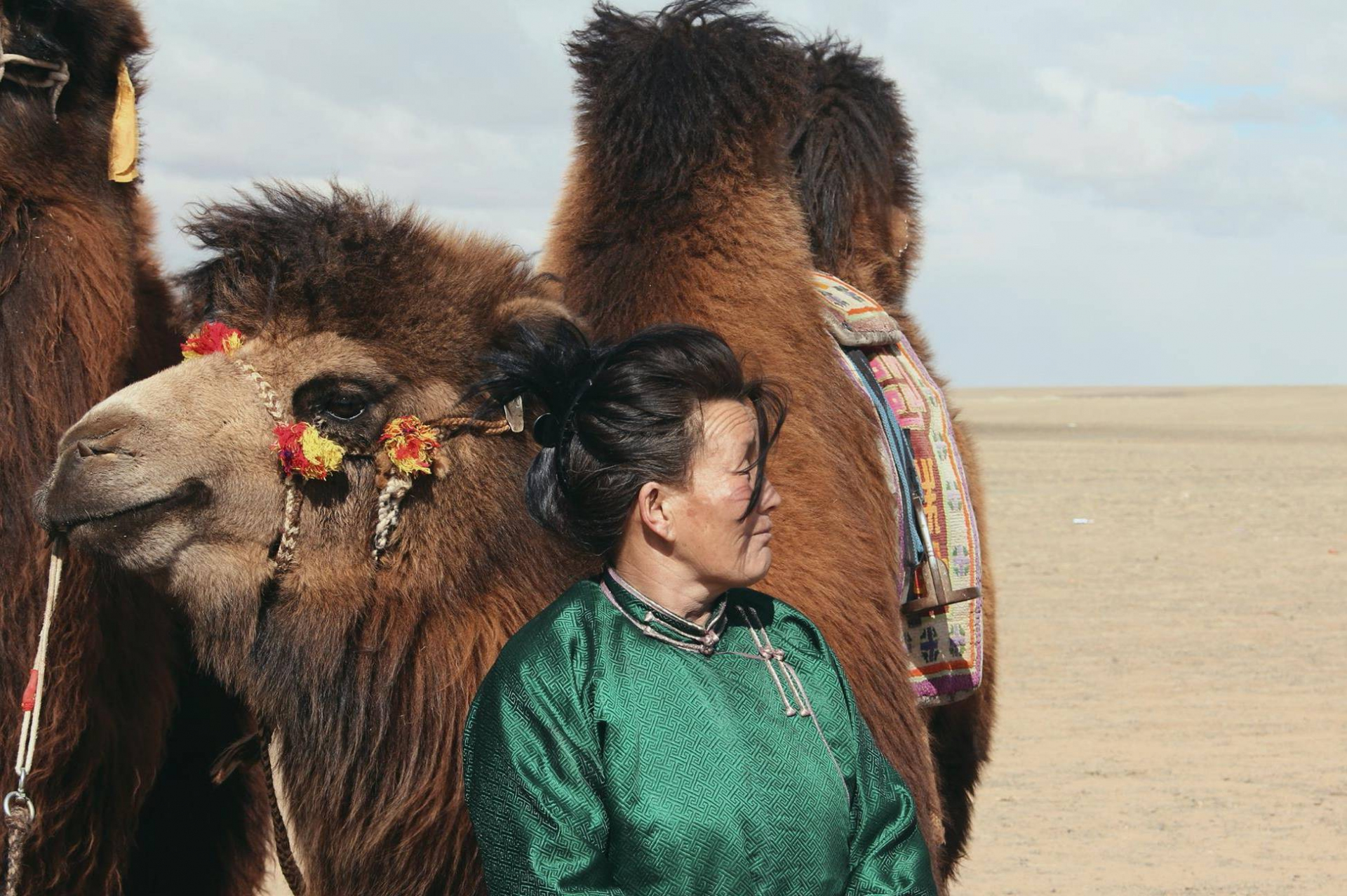 Festival 1000 chameaux Mongolie