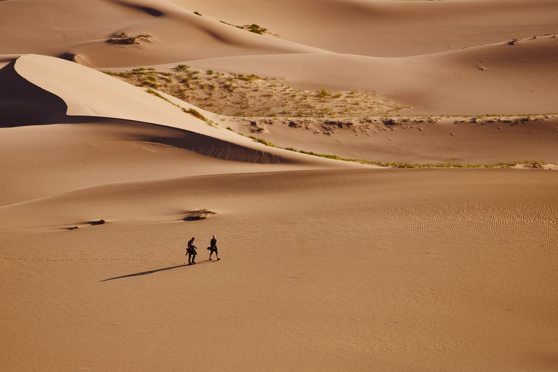 Désert de Gobi