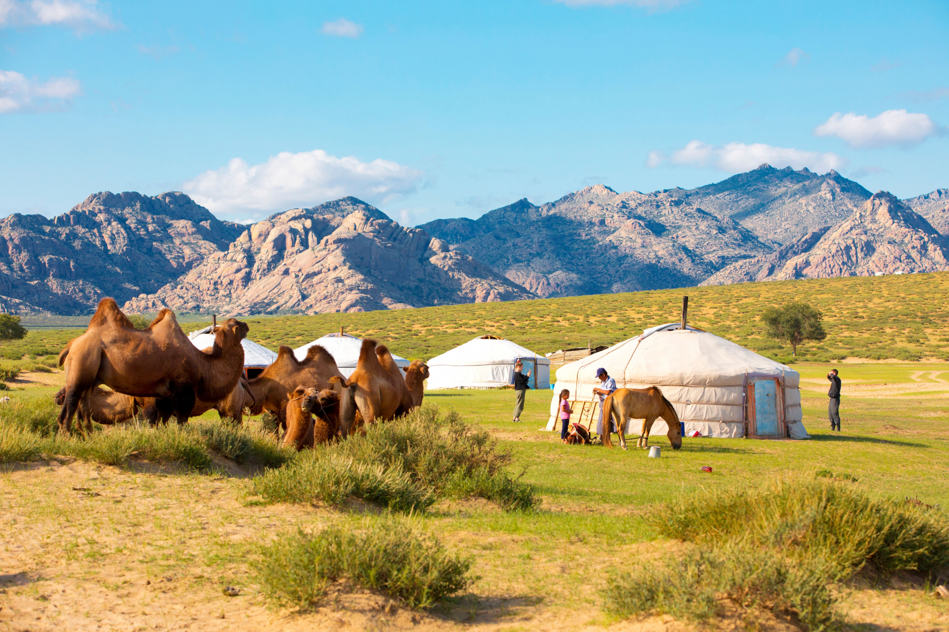 mongolie-ete