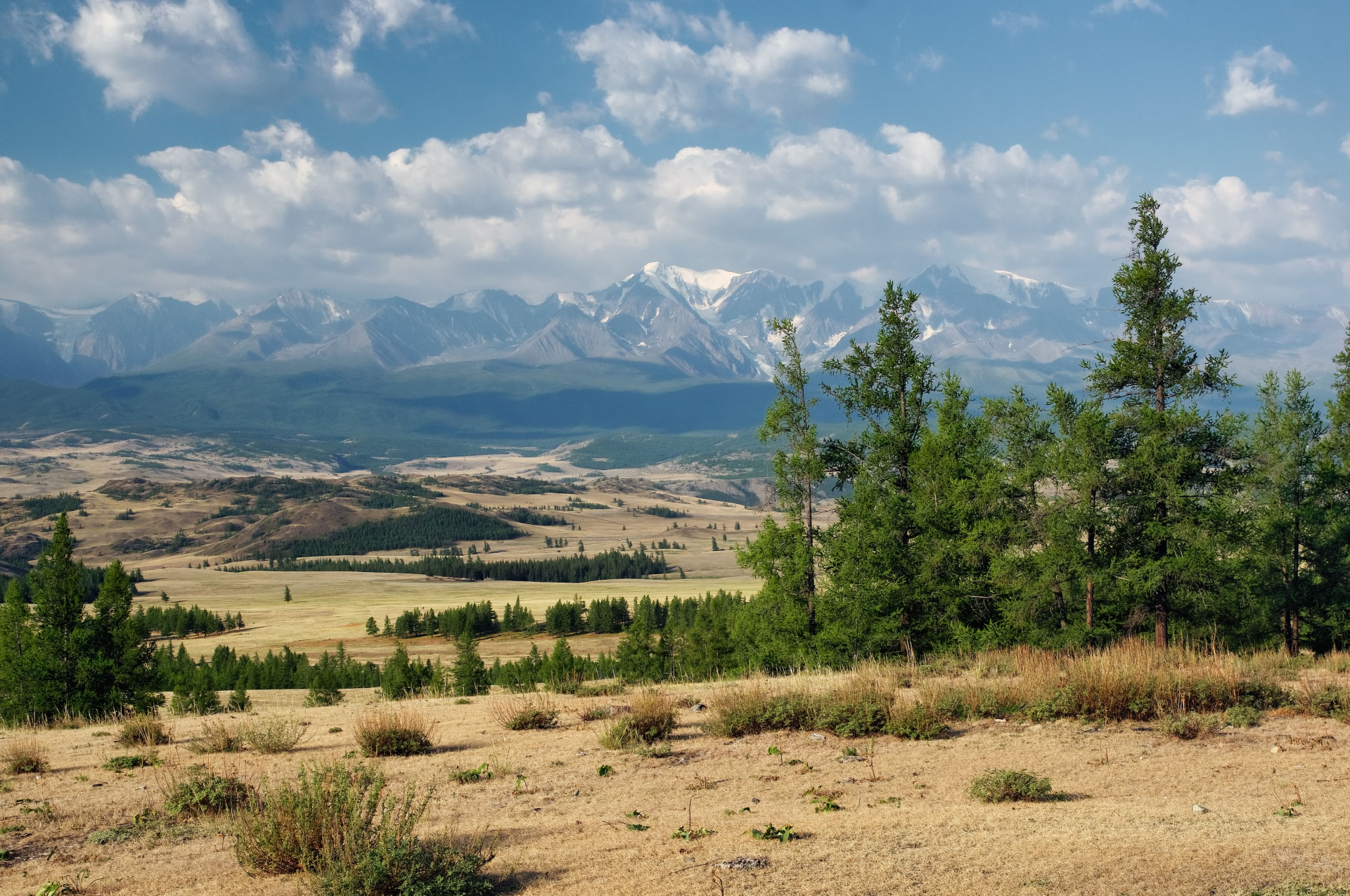 paysage-mongolie