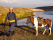peuple-nomade-mongolie