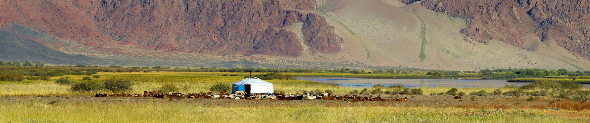 Quand partir en Mongolie