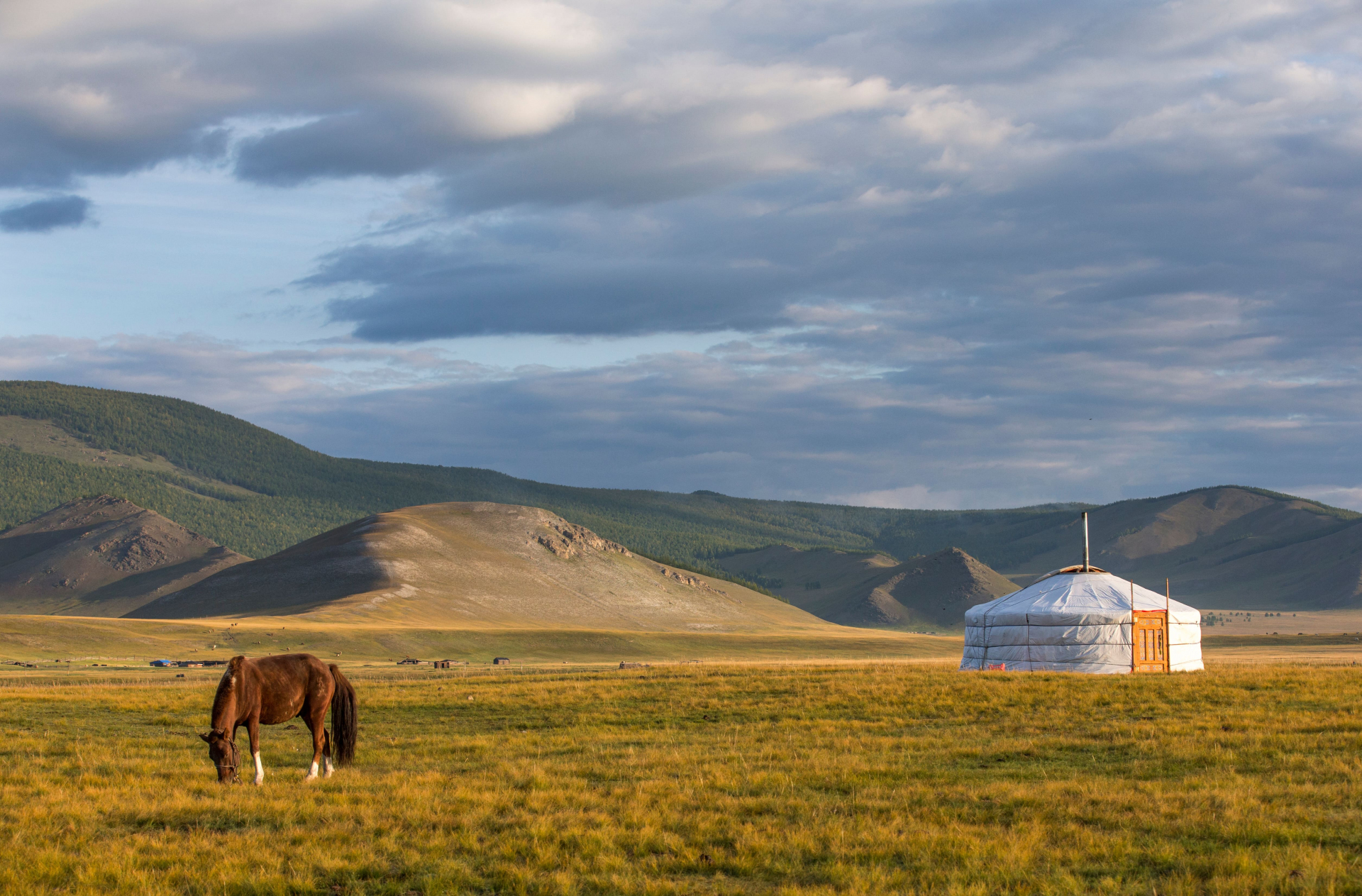 agence-locale-mongolie