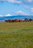 arkhangai-et-ovorkhangai