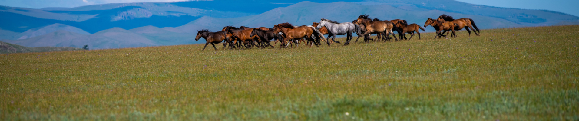 arkhangai-et-ovorkhangai