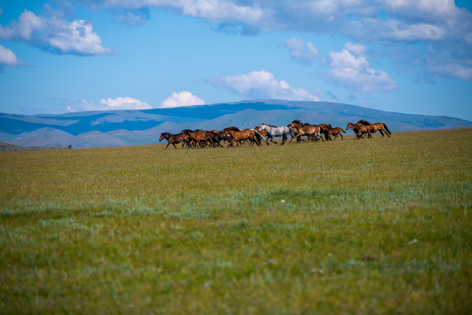 arkhangai-et-ovorkhangai