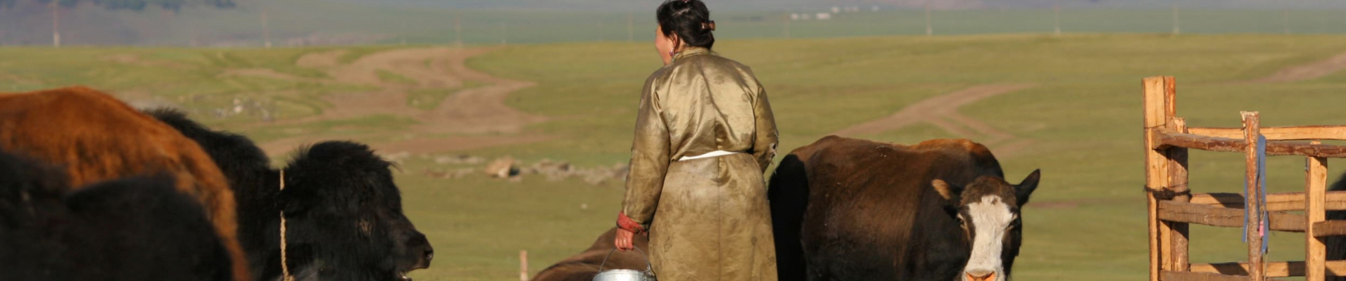 assurance-mongolie