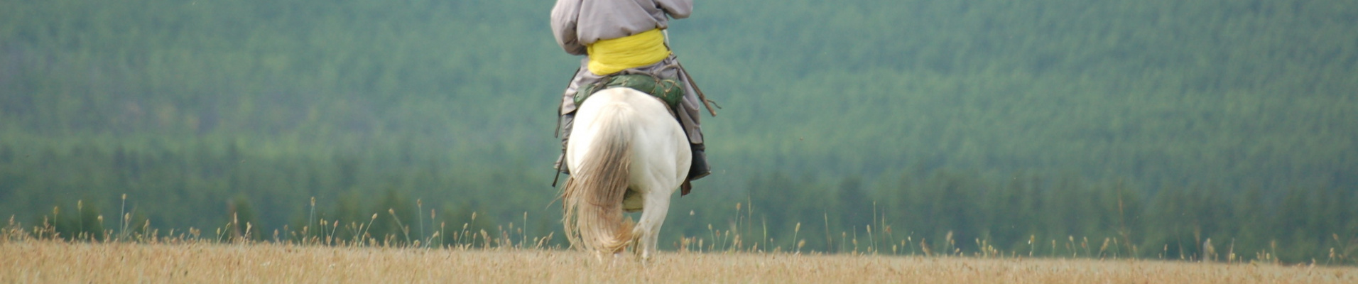 Cavalier des steppes de Mongolie