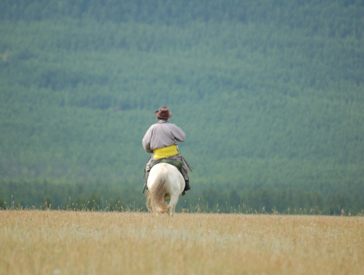 Cavalier des steppes de Mongolie