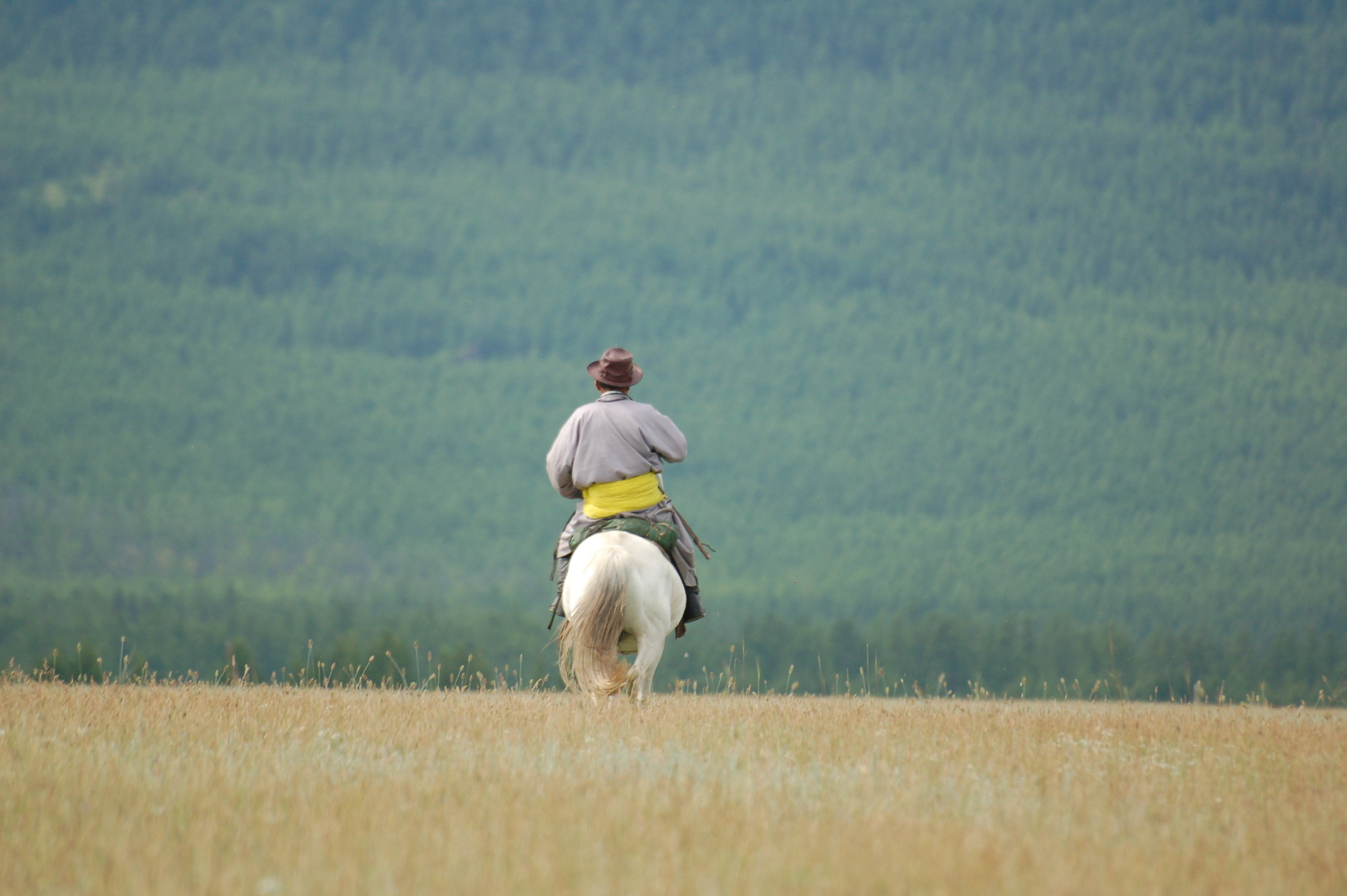 Cavalier des steppes de Mongolie