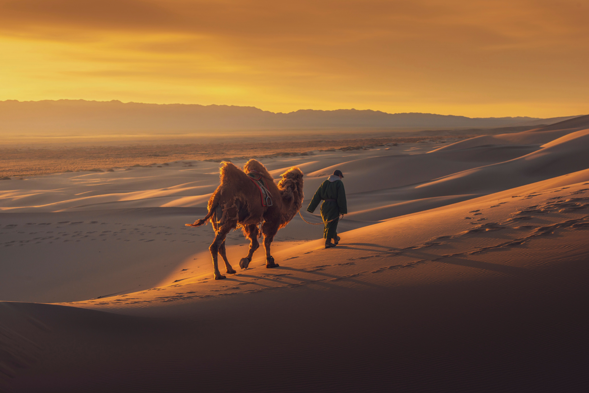 desert-de-gobi-mongolie