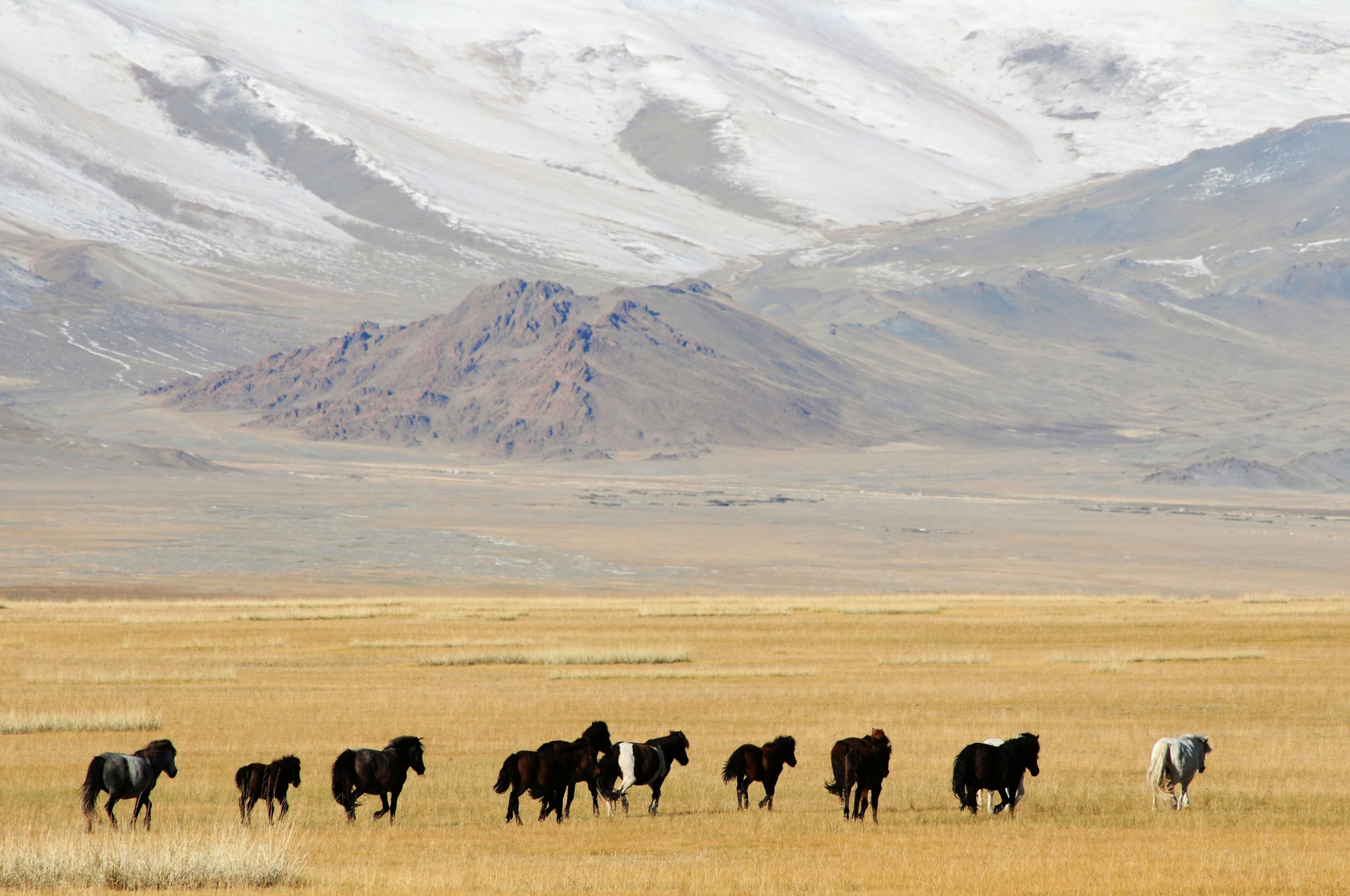 mongolie-en-petit-groupe