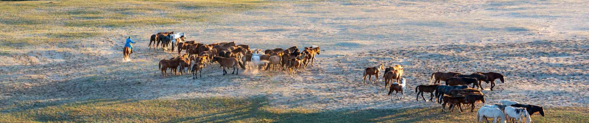 Que faire en Mongolie ?