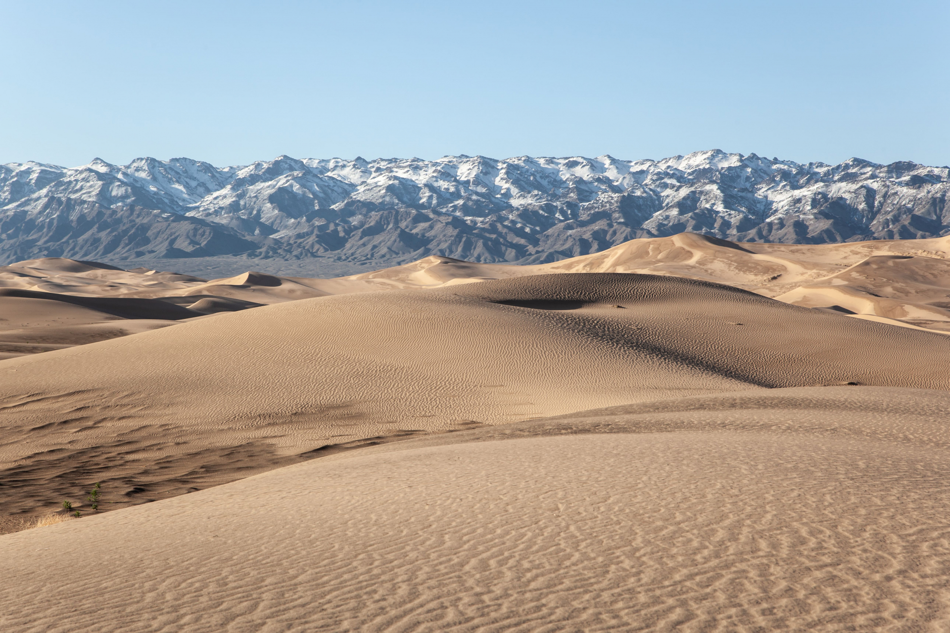 temoignage-mongolie