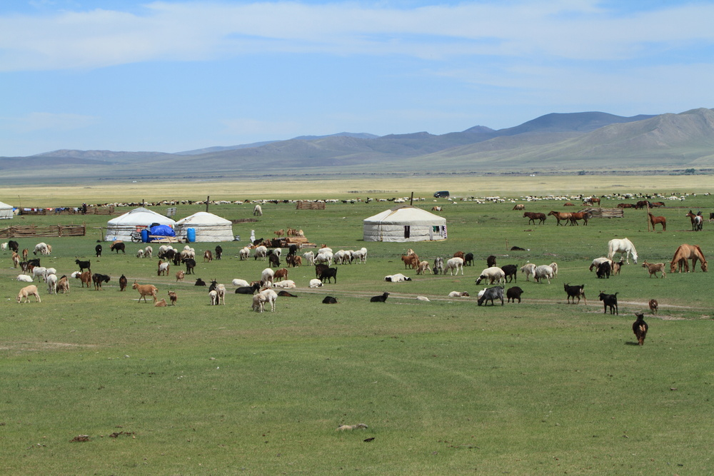 Ger des Steppes Mongolie