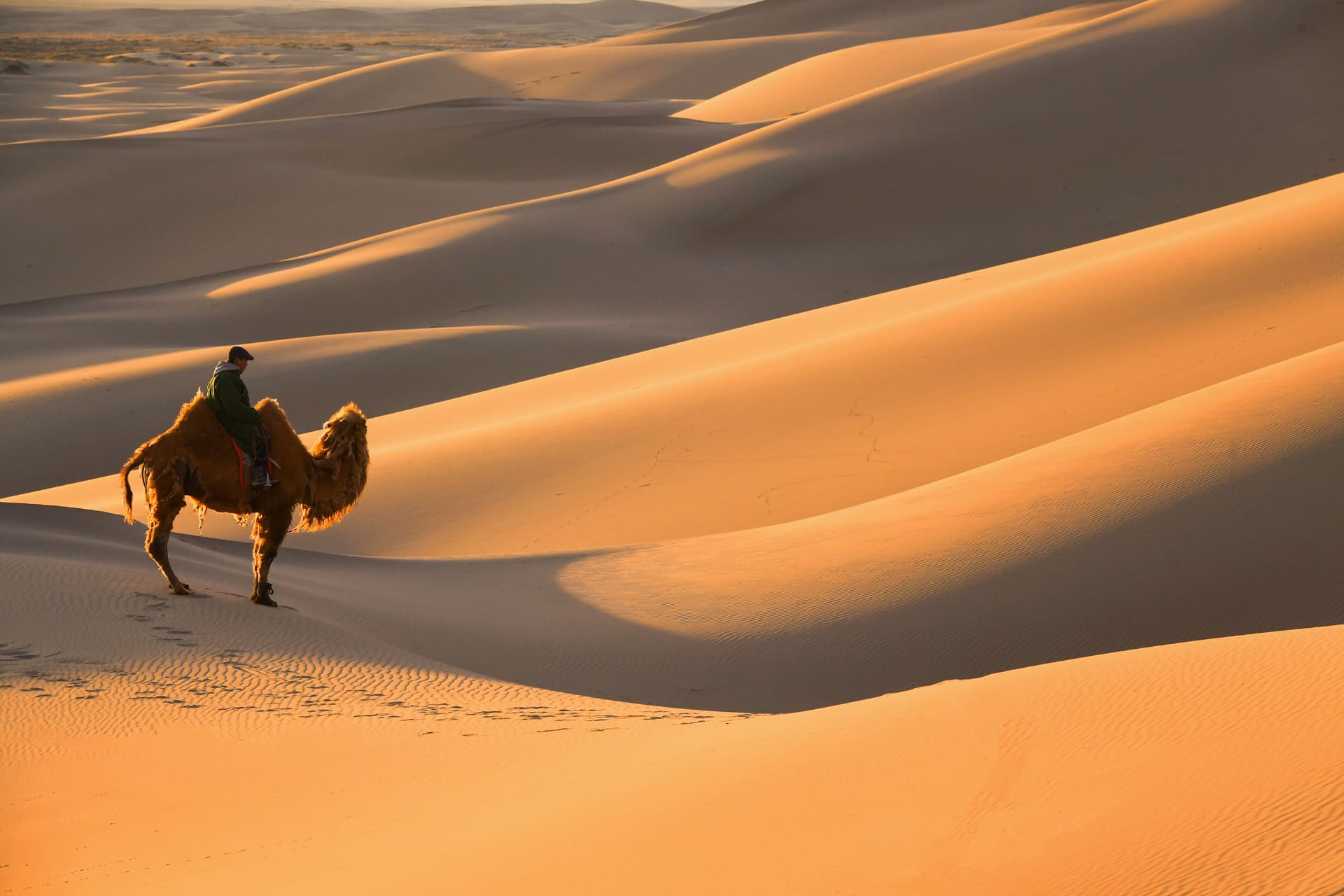 desert-gobi-mongolie