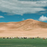 La Mongolie tel un nomade, en petit groupe