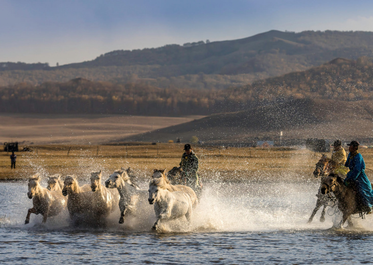 chevaux-eau-mongolie