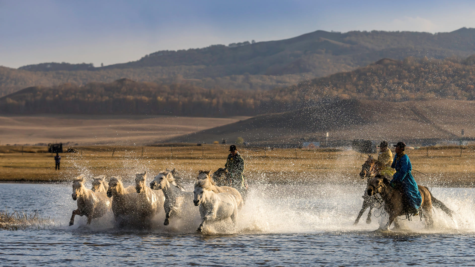 chevaux-eau-mongolie