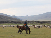 Steppes mongoles