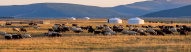 moutons-coucher-de-soleil-mongolie